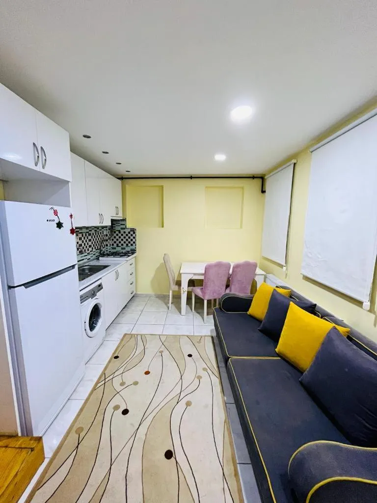 Image 3 of Dublex flat in taksim