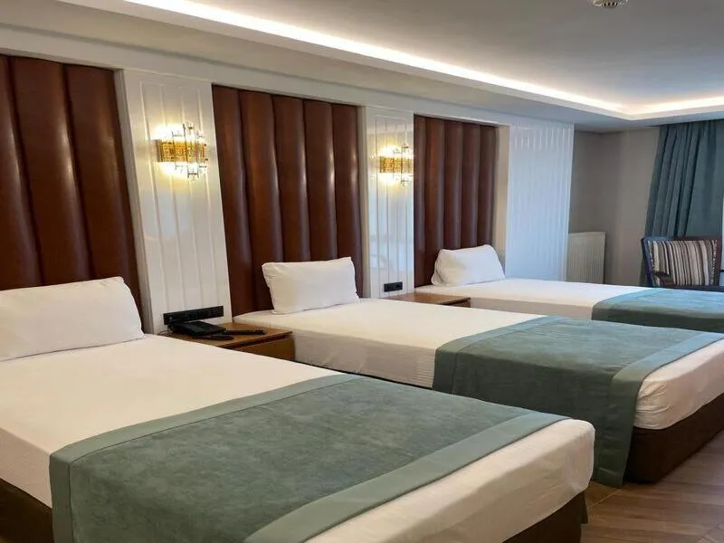 Image 6 of Gumus Palace Hotel