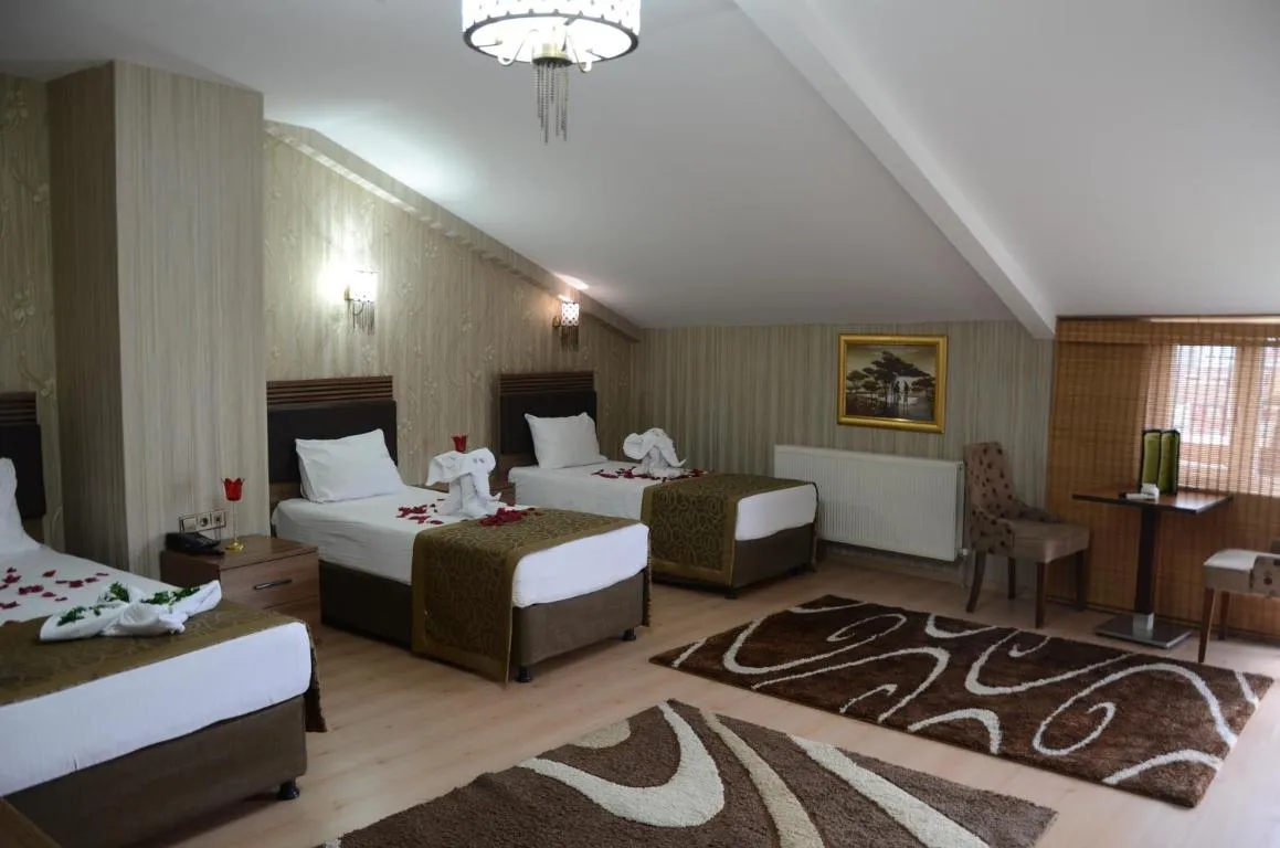 Image of Gumus Palace Hotel