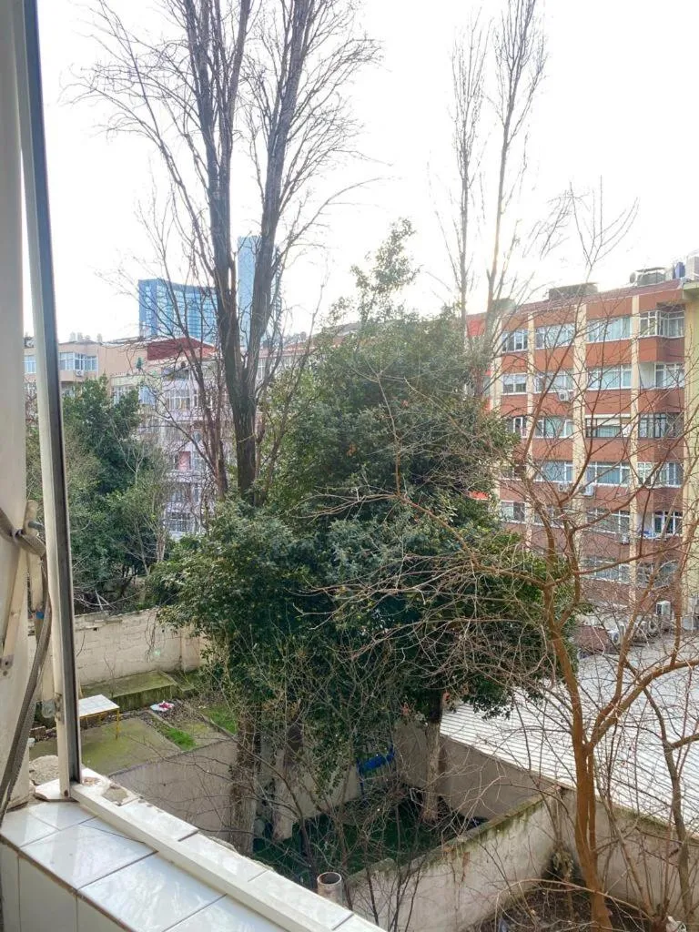 Image 4 of Şişli House