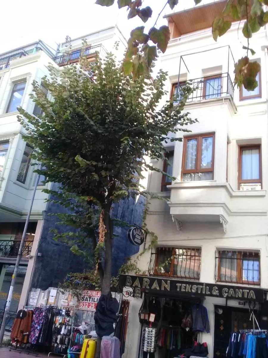 Image 2 of Baran Home Aparts