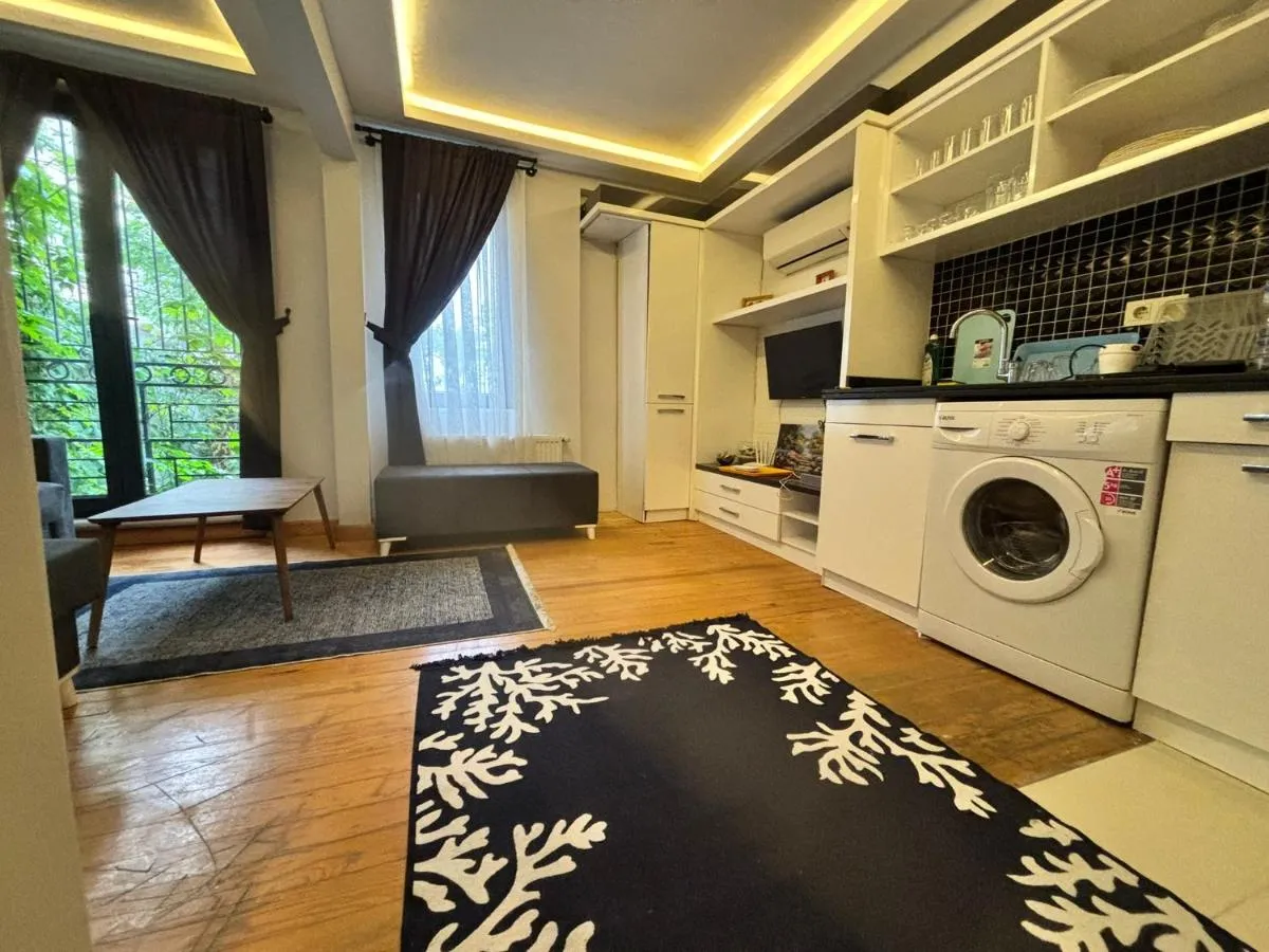 Image 3 of Charming Semi-Basement Apartment Steps from Taksim Square No 1