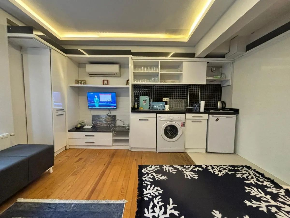 Image 1 of Charming Semi-Basement Apartment Steps from Taksim Square No 1