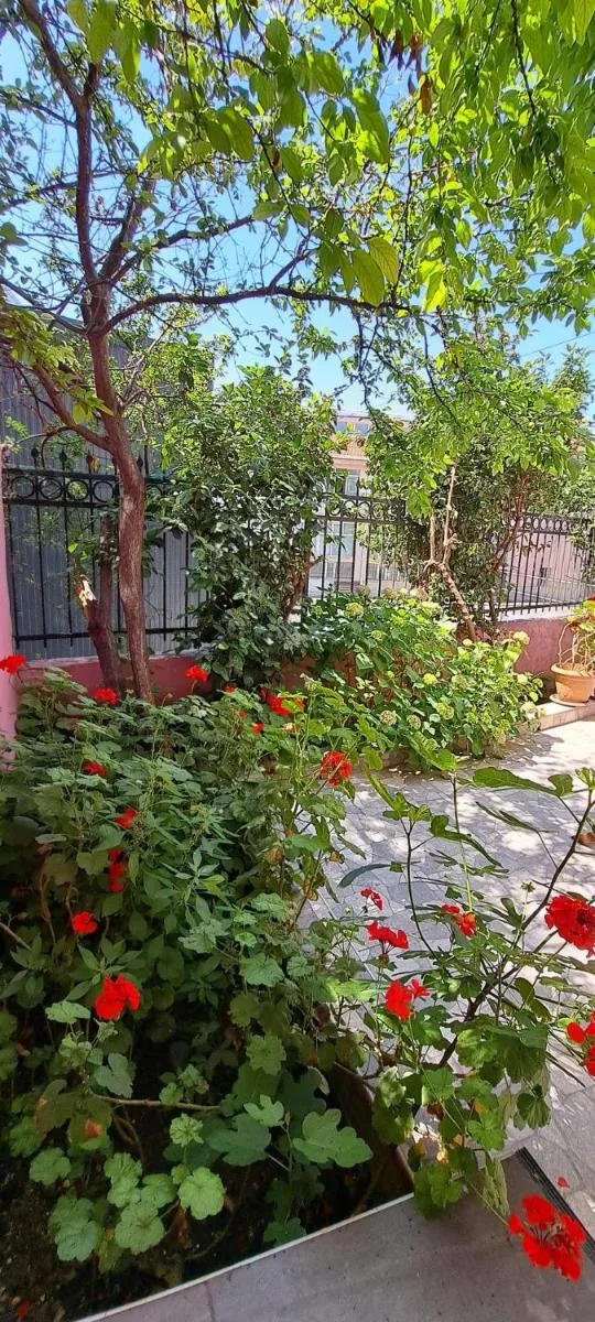 Image 5 of Golden Life Apart Hotel