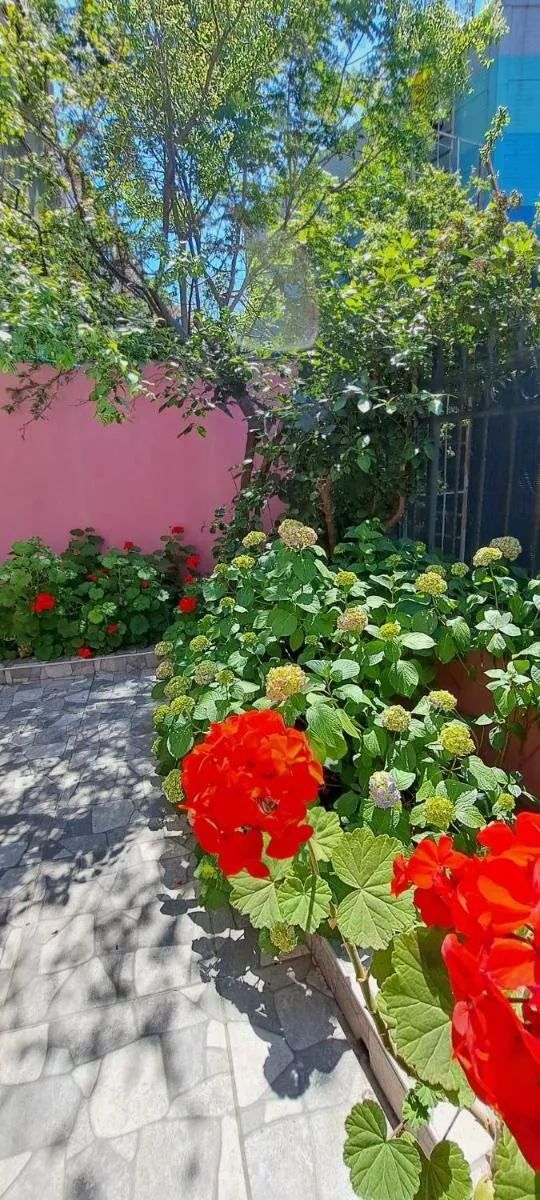 Image 4 of Golden Life Apart Hotel
