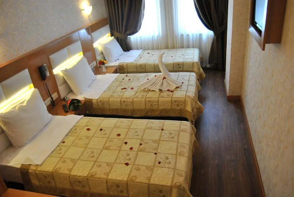 Image 2 of Hotel Star Park