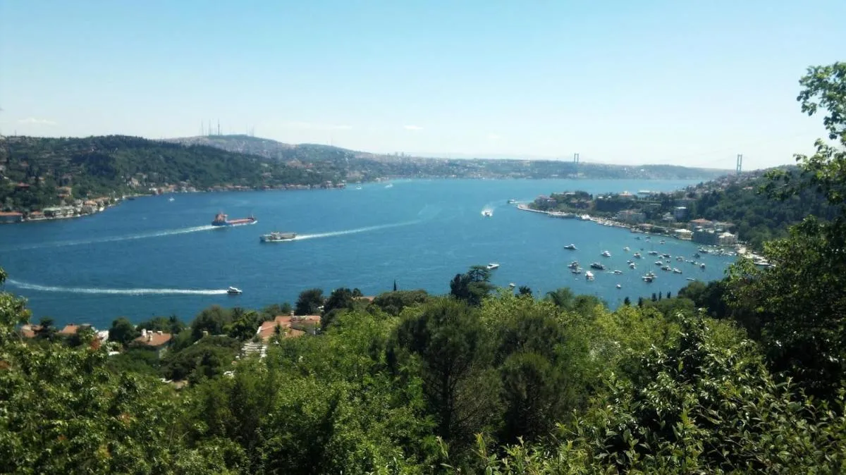 Image 5 of Inin Bebek