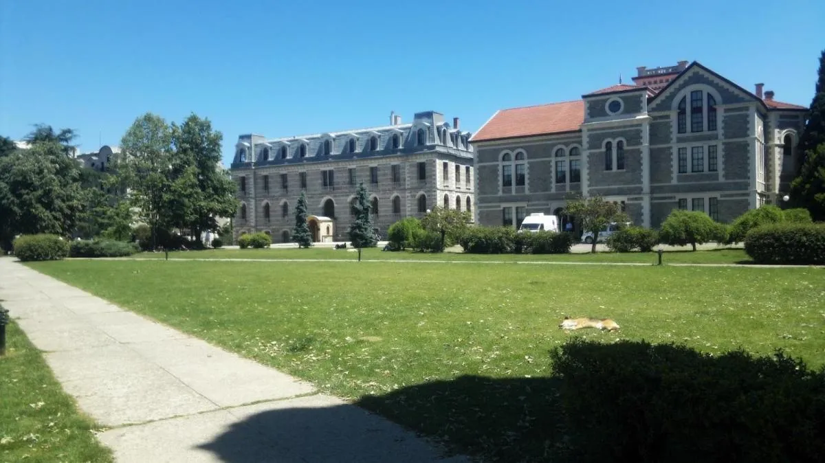 Image 4 of Inin Bebek