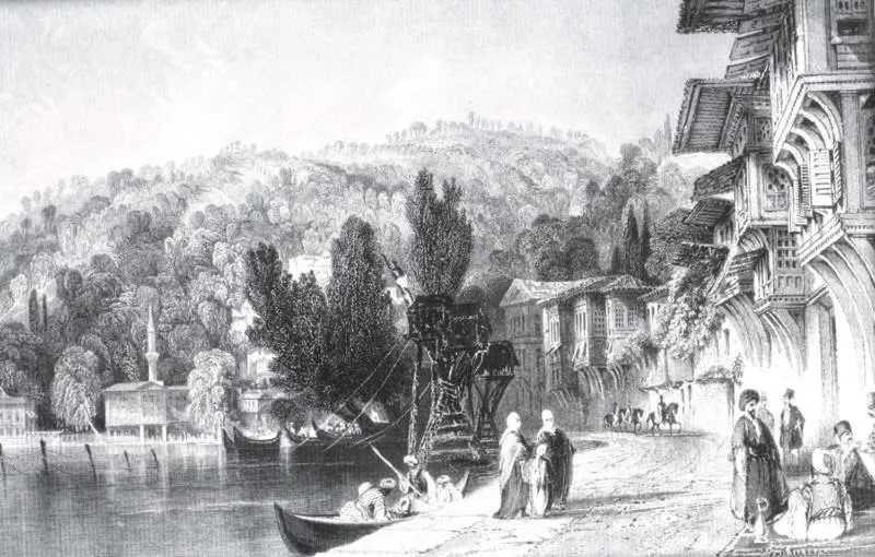 Image 1 of Inin Bebek