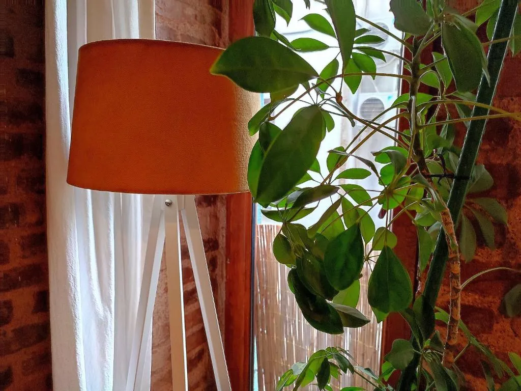 Image of Kunterbunt Istanbul