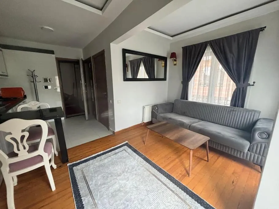 Image of Spacious and Cozy Flat near Taksim Square no3