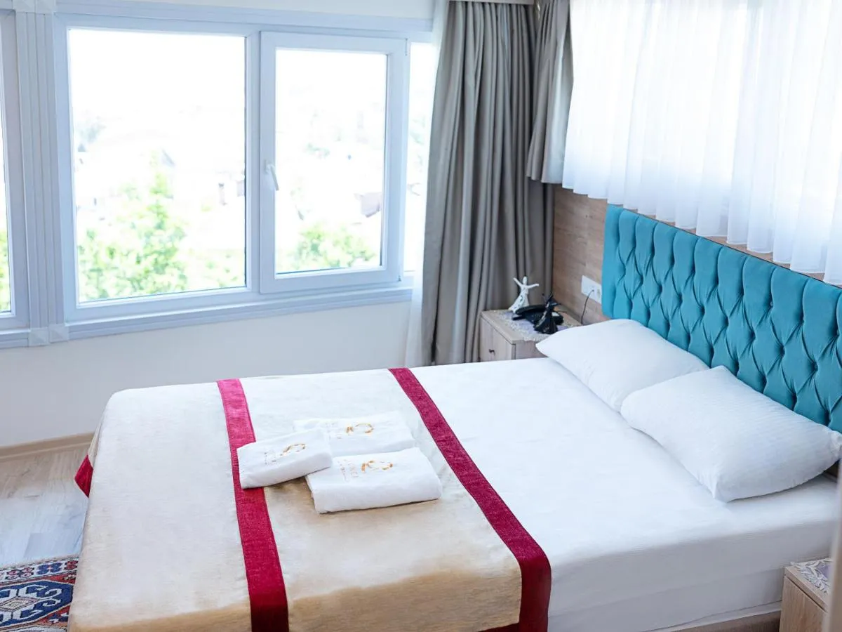 Image 3 of THE LAİLA HOTEL
