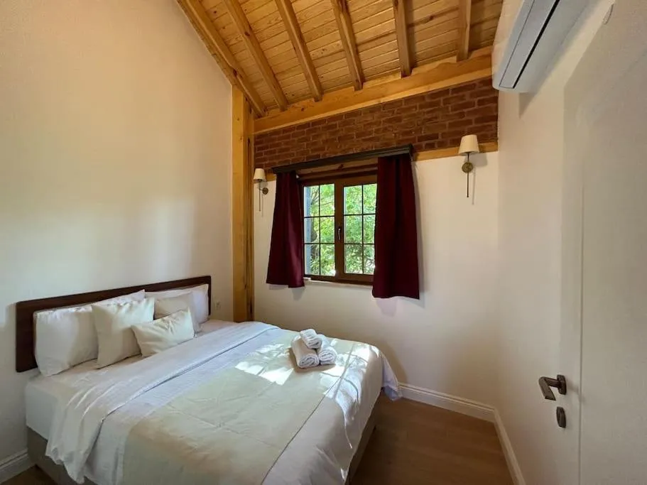 Image 6 of Villa Arancia Istanbul – Garden, BBQ, Sauna & Turkish Bath by the Tram in Fatih